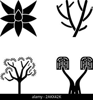 Plantes du désert glyphe icons set. La flore exotique. Fox tale de l'agave, cactus crayon, Joshua tree, ponytail palm. Symboles de Silhouette. Vector isolated illustrati Illustration de Vecteur