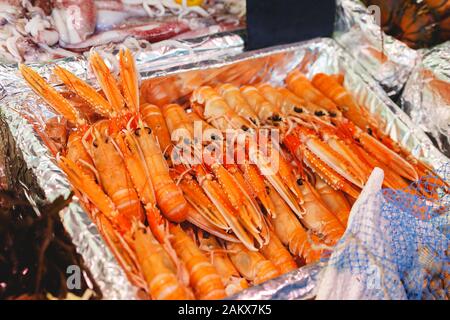 Grandes crevettes rouges non cuites à l'état brut, homard Cigala à vendre sur le marché du poisson. Marché alimentaire de la mer. Stock photo grandes crevettes rouges, homards méditerranéens, Cigalas Banque D'Images