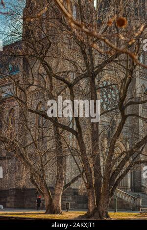 Prague République tchèque 10 janvier 2020 - Belle vue du matin de Namesti Miru avec de vieux arbres en face de l'église de St Ludmila sous soleil chaud l Banque D'Images