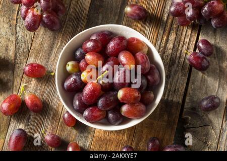 Raisins rouge pourpre biologiques crus dans un bol Banque D'Images