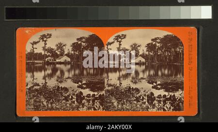 Silver Springs, vue générale Silver Springs, vue générale. ; Silver Springs, vue générale. Banque D'Images