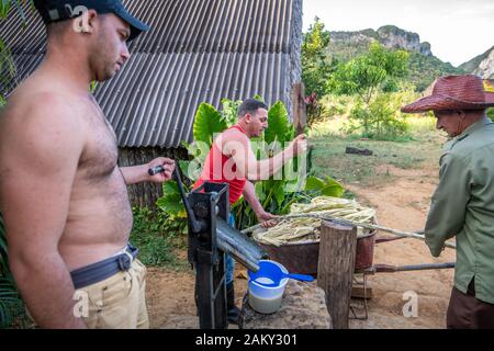 Le jus de canne à sucre ayant un débordement de Vinales, Cuba , il Banque D'Images