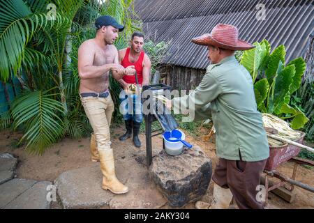 Le jus de canne à sucre ayant un débordement de Vinales, Cuba , il Banque D'Images