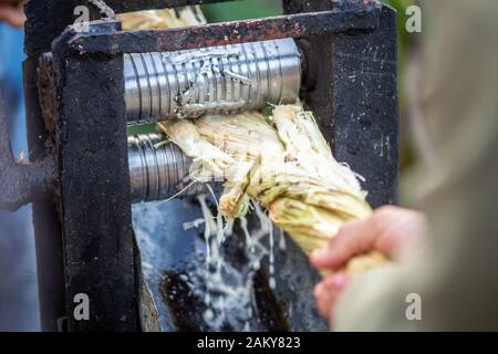 Le jus de canne à sucre ayant un débordement de Vinales, Cuba , il Banque D'Images