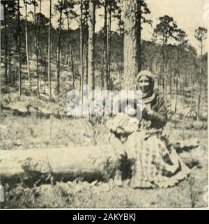 Pérégrinations au Mexique ; la chronique de l'entrain de l'aventure mexicaine en routes et ruelles . hemule, Reine, a montré l'intelligence rare. Thoughnervous et facilement excité, il était doux et gentil.Comme d'habitude de pur-sang, sa peau était délicate, et j'ai trouvé la selle a été agressé son - ou plutôt sheinformed moi, en frottant son nez contre ma jambe. Igot off et changé la selle, et à partir de ce moment, à chaque fois son dos lui faire mal, elle m'a donné avis au sameway, mais doucement et avec la plus grande patience. Cette nuit nous avons campé dans la vallée, et tandis que la cuisine était themozo le souper, j'ai baigné Queens retour Banque D'Images
