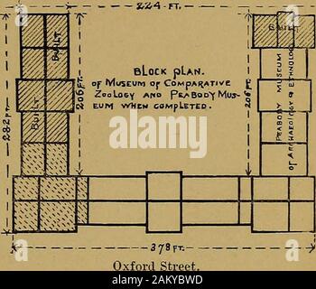 Harvard et ses environs . li Le Peabody Museum (24). Et ses environs. 43 Avenue de la Divinité. *St4 - FT. - - 26. Le Projlected Museum. Il a déjà été indiqué que la com-remplie de sections du Museum of Comparative Zoology et musée Peabody de Archasology américain et de l'Ethnologie ne sont que des parties de l'un grandmuseum qu'est rapidement progresser. Ci-dessous nous donnons le plan au sol d'theprojected les bâtiments, la partie principale de ce qui sera de 65 380 pieds;l'aile sud, 206 par 85 pieds;et l'aile nord, 206 par 05 pieds.L'ensemble de la structure auront histoires twolofty (avec des galeries), base-m Banque D'Images