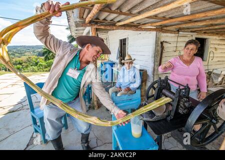 Le jus de canne à sucre ayant un débordement de Vinales, Cuba , il Banque D'Images