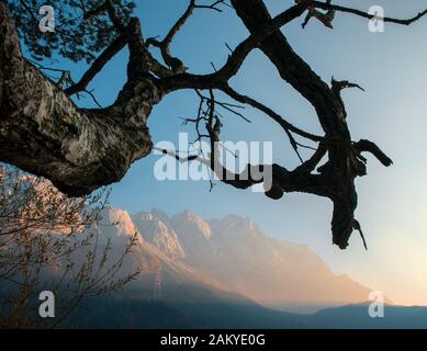 Eibsee brumeux et la montagne Zugspitze dans soleil du matin Banque D'Images