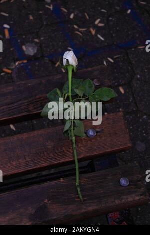 Parc automne bouquet de roses fabriqués à partir de feuilles d'érable tombés se trouve sur un banc en bois avec jambes rouillées sur un fond de paysage urbain. Dernière journées chaudes. Banque D'Images