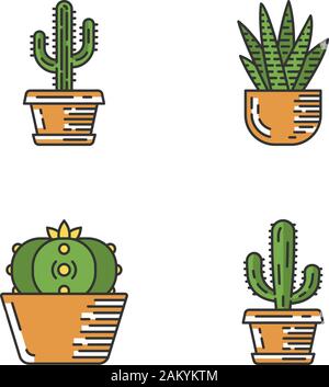 Cactus sauvages en couleur icons set. Succulentes. Cactus peyotl, Zebra, mexicain, géant saguaro. Collection jardin de cactus. Illustrations vectorielles Illustration de Vecteur