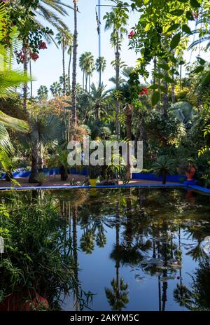 Jardin Majorelle, Marrakech Banque D'Images