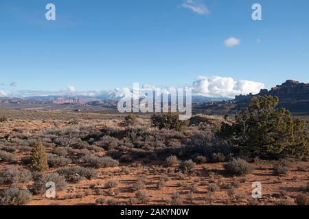 La Sal Mountains, La Sal Range, Arches National Park, Moab, Utah, États-Unis Banque D'Images