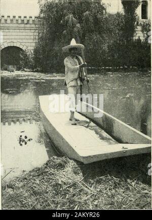 Pérégrinations au Mexique ; la chronique de l'entrain de l'aventure mexicaine en routes et ruelles . propre asmal homhre (bad man) et mala inujer (mauvaise femme).Ils ont de larges feuilles plates, et sont vraiment les orties. Une chose m'a rappelé le Nord, même là.C'était une belle fleur bleue avec un réducteur comme ourmorning-gloire. Dans le Nord, il est soigneusement entretenu andopens seulement pour quelques heures dans la matinée. Ici itruns sauvages sur tout, caféiers, bananiers,clôtures et arbres, sautant de l'un à l'autre en arrière,banderolles et des festons, et flauntingits toutes les fleurs d'azur exquis da Banque D'Images