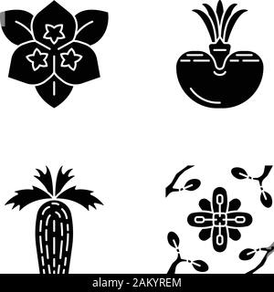 Plantes du désert glyphe icons set. La flore exotique. Fleurs de bougainvilliers, pierre vivante, Californie fan palm, Larrea. Lieux secs de plantes. Symboles de Silhouette. Illustration de Vecteur