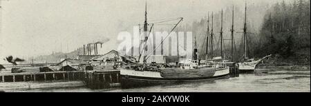 Puget Sound et l'ouest de l'État de Washington ; villes--communes--scenery . Une SECTION DE LA VILLE D'ABERDEEN La vue montre quelque chose du front de mer le long de la rivière Chehalis. Il y a seize kilomètres de front de mer et l'utilisation docksin et disponible pour les sites de fabrication et d'expédition sur les rivières Chehalis et Wishkah. 154 Puget Sound et de l'ouest de Washington. L'E. K. BOIS SCIERIE À HOQUIAMOne de la douzaine de grandes usines de bois d'œuvre de l'industrie qui a construit la ville de Hoquiam en quelques années. cour maison construite sur les hauteurs overlooksthe ville et la vallée. La large et bien entretenu rues de Montesano, Banque D'Images