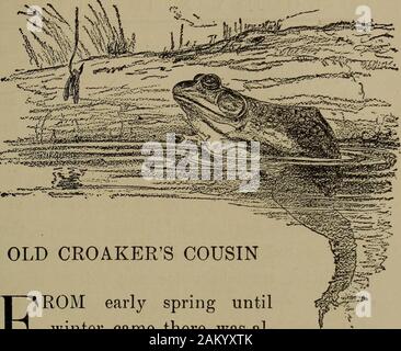 Amis de boisé Tan et Teckle . Courbines ancien cousin du début du printemps jusqu'untilwinter est venu il y avait al-façons la musique dans la forêt de l'ancien ferme Bradley. Jour et nuit il wasseldom un moment où on ne pouvait pas hearsome peu sauvage créature. Les oiseaux et les écureuils et les sauterelles locustsand fiddledor ou chanté aboyé par jour, et les hiboux et whippoor-testaments et de crapauds et grenouilles et katydids andscores d'autres ont fait leur part de nuit. Et, parmi eux tous, ils ont maintenu une longue con-cert d'un coucher du soleil à l'autre. Jusqu'à ce qu'une nuit chaude au début de l'automne Tan et Teckle avaient pensé que la musique de toutes les 135 Banque D'Images