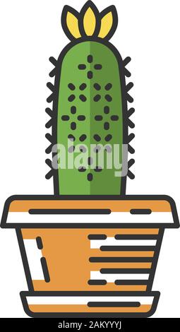 Hedgehog cactus en pot l'icône de couleur. Echinopsis. Oursin cactus dans le jardin. Originaire d'Amérique du Sud plante du désert. Vector illustration isolé Illustration de Vecteur