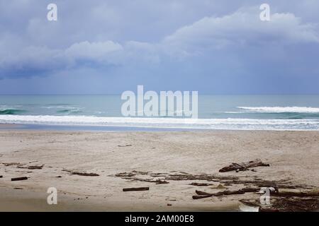 Vagues qui roulent sur une plage de sable Avec du bois de Javel sur le sable à San Gregorio State Beach et Lagoon Park, Californie, à l'extérieur De Half Moon Bay Banque D'Images