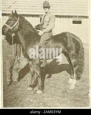 331field artillery, United States Army, 1917-1919 . Premier lieutenant. George Wallace Miller Né à St Paul, Minnesota, le 4 mars 1893 Université du Minnesota, de l'ingénierie électrique,classe de 1918. 1er rang le Lieut. Le 27 novembre 1917 atFort Snelling. Au Minnesota. S'est joint à 331F. A.Dec. 15, 1917. Avec C Btry 15 Déc., 1917 toOctober 12, 1918. Attribué à HeadquartersCompany 12 Octobre, 1918. T. D'abord. Le Lieut. Wayne A. Baird a commandé le 15 août 1917à Fort Sheridan, Illinois. S'est joint à 331F. d'uneet affectés au Siège Août 29,1917 Entreprise. Promu au grade de 1er lieutenant. 31 décembre 1917Trans Banque D'Images