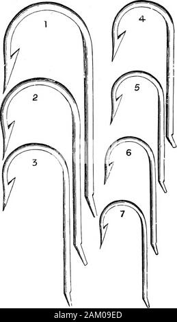 La mer-pêcheur : comprenant les principaux moyens de l'hameçon et à la ligne de pêche dans les Britanniques et d'autres mers, et des remarques sur les filets, bateaux, et boatingProfusely illustrée de gravures sur bois sur les leads, hameçons, filets et bateaux, etc., et des descriptions détaillées de la même . est souvent de couleur, qui fait theConger à nourrir ; généralement en eau peu profonde qu'ils n'ont pas movemuch avant le coucher du soleil. Redditch, Worcestershire, est, avec ses environs district, le siège de la fabrication du crochet, avec laquelle est commonlyassociated que d'aiguilles. Les coupes d'hameçons dans ce travail ont été tirées et num-béred de ceux c Banque D'Images