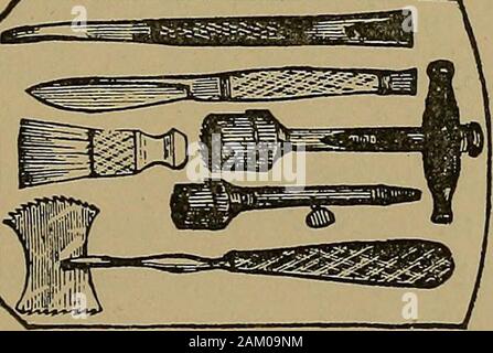 Gleason's main vétérinaires-livre et du système de l'apprivoiser .. . TREPANNING. 223 Transfusion.-c'est la loi ou l'exploitation de trans-ferring le sang d'un animal vivant dans le vascularsystem d'une autre au moyen d'un tube. M. James Farrel,de Dublin, Irlande, a été le premier vétérinaire, à myknowledge, qui emploient la transfusion à toute mesure, et d'excellents avantages. En cas d'asthénie, de la saignée, il a fait des merveilles avec elle, et a conclusivelyproved à ses concitoyens le danger d'hémorragie chevaux tocure ou prévenir les maladies. Pour, dans ce cas comme l'a pas saigné, il n'avait pas de troubl Banque D'Images