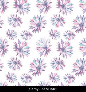 Belle fleur de cactus rose doux sans couture, isolée sur fond blanc. Adorables fleurs d'aquarelle roses colorées. Style de mode pour la fracrique Banque D'Images