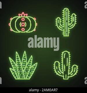 Cactus sauvages neon light icons set. Plantes Succulentes. Collection de cactus. Le peyotl, Saguaro, cactus géant mexicain et Zebra. Les panneaux lumineux. Il isolé du vecteur Illustration de Vecteur