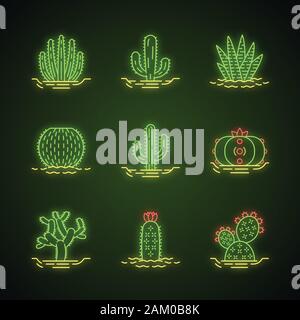 Cactus sauvages au sol d'neon light icons set. La flore tropicale du Mexique. Plantes Succulentes. Les plantes épineuses. Collection de cactus. Les panneaux lumineux. Vector isolated illus Illustration de Vecteur