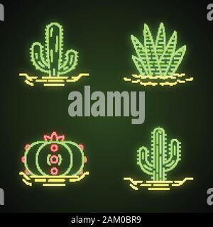 Cactus sauvages au sol d'neon light icons set. Succulentes tropicales. Les plantes épineuses. Géant mexicain, saguaro, cactus Peyotl, Zebra. Les panneaux lumineux. Je vecteur Illustration de Vecteur