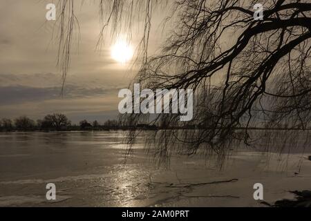 Soleil derrière les nuages se reflétant sur la glace d'un fleuve saint-Laurent à Montréal pendant l'hiver 2020, un arbre et des branches vues dans l'ombre Banque D'Images