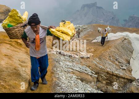 Mineurs de soufre transportant des paniers chargés de soufre au volcan Kawah Ijen en Java orientale, Indonésie. Banque D'Images