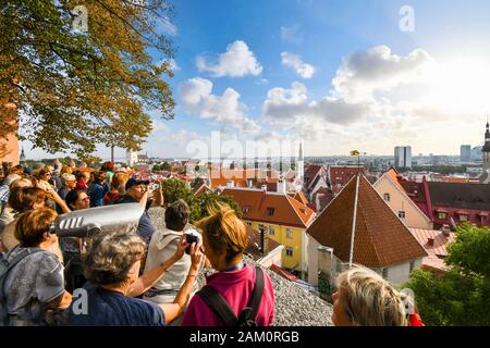 Une foule de touristes se rassemblent pour prendre des photos sur la vieille ville de Tallinn sur la colline de Toompea, surplombant la ville médiévale de la Baltique. Banque D'Images