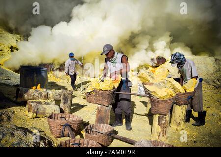 Mineurs de soufre au travail à l'intérieur du cratère du volcan Kawah Ijen à Java orientale, Indonésie. Banque D'Images