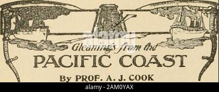 La culture de l'abeille . nous et énergique que dans le passé. Butadvancing l'âge, avec les nombreux en-firmities en revenant, m'oblige à dépenser moins notonly sur chaque travail, mais individualcolony de garder moins de colonies ainsi.Pour le moment je suis plus ambitieuse que moi pour plus d'autres pour plus de travail. Je vois. Mais si vous étiez à seulement 25 ans. et la liberté d'adopter soit planas vous avez choisi, qui choisiriez-vous ?l'ancien régime de fixation de l'greatestyield appearancewould avec la plus belle possible me donner la plus grande satisfaction, je être-lieve, et mettre sur le marché une classe Banque D'Images