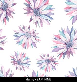 Belle fleur de cactus rose doux sans couture, isolée sur fond blanc. Adorables fleurs d'aquarelle roses colorées. Style de mode pour la fracrique Banque D'Images