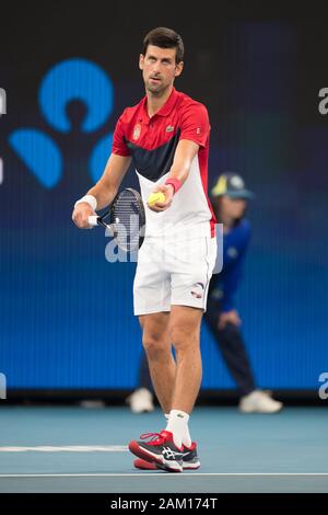 Sydney, Australie. 11Th Jan, 2020. Novak Djokovic la Serbie de 2020 sert pendant la finale de la Coupe de l'ATP à huit le Ken Rosewall Arena, Sydney, Australie, le 11 janvier 2020. Photo de Peter Dovgan. Credit : UK Sports Photos Ltd/Alamy Live News Banque D'Images