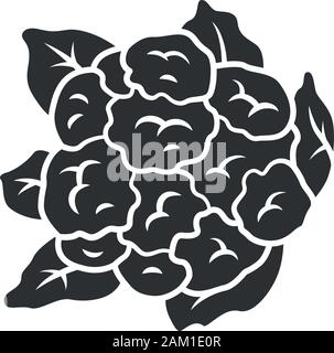 Icône glyphe de chou-fleur. Le chou. L'usine de l'agriculture. En salade. Ferme maraîchère. L'alimentation végétarienne et végétalienne. L'alimentation biologique. Symbole de Silhouette. Illustration de Vecteur