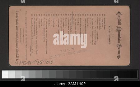 Le paysage de montagnes Catskill du lac, y compris les montagnes, Glen et une vue sur les cascades, les vues d'hôtels, les ponts, les touristes, la maison Rip Van Winkle et Sleepy Hollow. Certaines vues en double. Robert Dennis Collection de vues stéréoscopiques. Titre de l'étiquette. Comprend plusieurs séries avec même titre. ; le lac. Banque D'Images