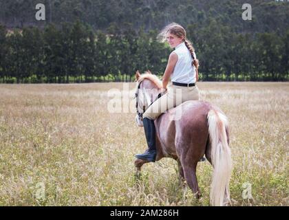 Fille marchant dans le champ sur son cheval de peinture Sabino regardant de retour bareback et sans une bride. Banque D'Images