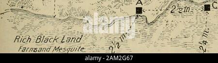 La culture de l'abeille . outstripthe d'autres chaque année, et les deux yardsjust sur la ligne de partage ne font pas presque aussi bien.Il est à noter que la distance est notgieat assez, semble-t-il, de faire anymaterial différence. Notre propre nous experienceteaches différemment. Pays montagneux. bord de la famine si fourrage était scarcenearer le rucher. Nous avons dû déménager en thisyard (il landcountry l'agriculture et de mesquite, et depuis, ils ont bien fait. Si les abeilles ne gathernectar à parcourir de longues distances, les chantiers qui étaient situés dans des pays themountainous aurait dû faire bet-ter, surtout qu'ils ne t Banque D'Images