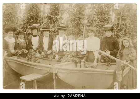 Carte postale édouardienne pâle de groupes de pickers de houblon, de femmes et d'enfants qui picking de houblon, qui mettent le houblon « bines » ou les vignes dans le bac à houblon, publiée à Hereford, le 20 avril 1907, mais qui date probablement de septembre 1906 lorsque le houblon est récolté, au Royaume-Uni Banque D'Images