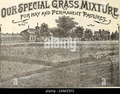 WmElliott & Sons les semenciers : 1898 . l'anneau. (Eobusta Flowerslarge grandiflora.), parfaitement formé, très doubles et des couleurs vibrantes. 10 Haageana fl. pi. De belles fleurs d'un jaune orangé, en gardant leurs couleurs quand elles sont séchées 10 Zebra. Les fleurs sont en parfaite forme et toutes les couleurs;avec un grand p. 100, rayé, repéré et blotchedwith différentes nuances, à peine deux usines produisant des fleurs. 10 couleurs mixtes et recourbés Crested. Une nouvelle souche de thispopular et belle plante. Fleurs grandes, doubles et perfectform, pétales tordus et enroulée dans le plus gracefulforms. Les couleurs constituent un Banque D'Images