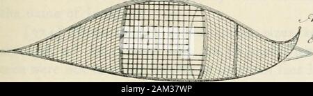 Un voyage du Prince of Wales's fort dans la baie d'Hudson jusqu'à l'océan du nord, dans les années 1769, 1770, 1771, et 1772-- . &Lt;L^n- SJtrtfa-. C^^^J-^t c/nc^itjAce^^^4/ n4^ Banque D'Images