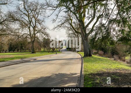 Essen - vue sur la promenade jusqu'à la façade de la Villa Huegel, Rhénanie du Nord Westphalie, Allemagne, Essen, 23.02.2019 Banque D'Images