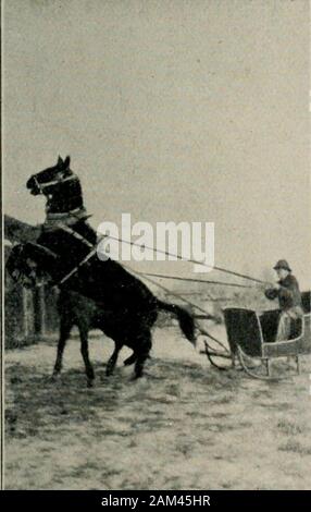 Le pays d'ouvrir des portes ; être des lettres de western CanadaWith Avant-propos par Earl Grey . Traversée de la rivière Pembina MAIL SUR LE FERRY. Banque D'Images