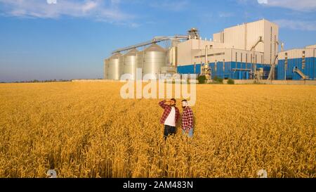 Photo aérienne de deux agriculteurs se tenant dans un champ de blé et regardant beaucoup parler de la récolte et de la business. Deux agronomes masculins avec élévateur à grain Banque D'Images