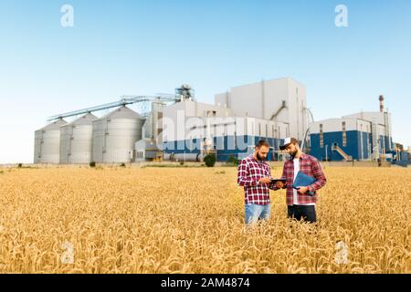 Deux agriculteurs se trouvent dans un champ de blé avec un comprimé. Les agronomes discutent de la récolte et des cultures entre les oreilles de blé avec l'élévateur de terminal de grain en arrière-plan Banque D'Images