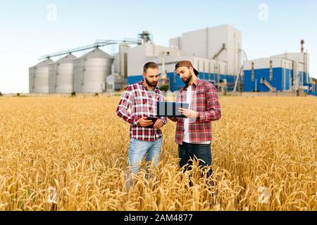 Deux agriculteurs se trouvent dans un champ de blé avec un comprimé. Les agronomes discutent de la récolte et des cultures entre les oreilles de blé avec l'élévateur de terminal de grain en arrière-plan Banque D'Images