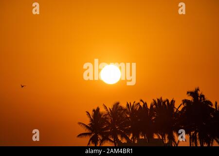 Coucher de soleil à la plage de Salalah Banque D'Images