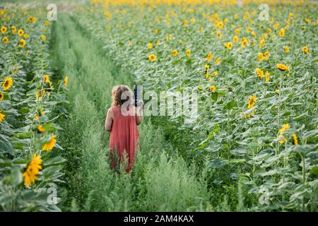 Une femme avec un appareil photo sur une route verte menant à travers des champs de tournesol. Pologne. Varsovie Banque D'Images